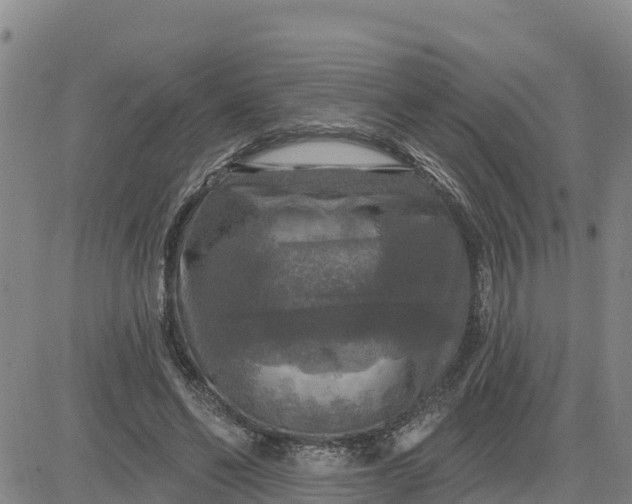 X0000080690494200612301453