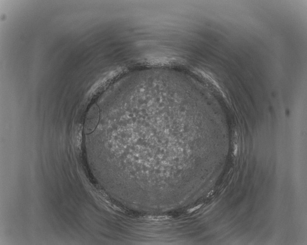 X0000080690495200612301453