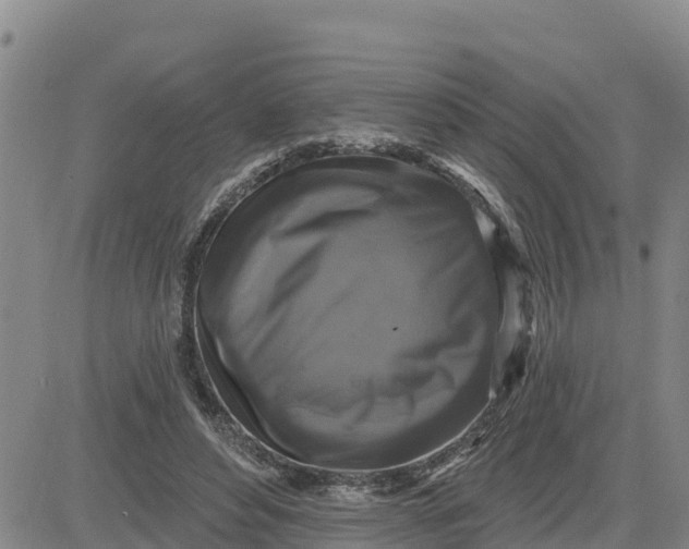 X0000080690496200612301453