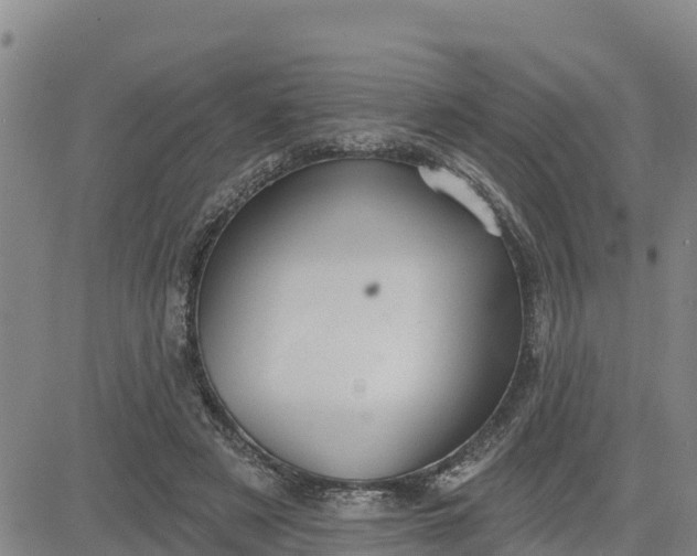 X0000080690497200612301453