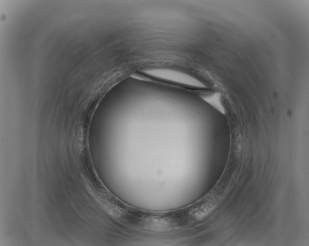 X0000080690498200612301453