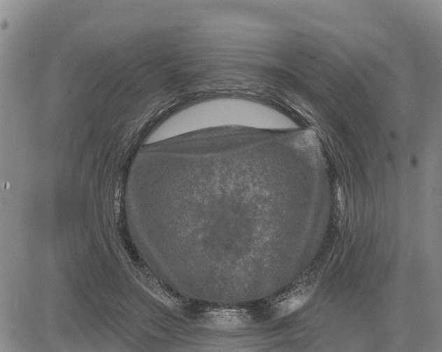 X0000080690499200612301453