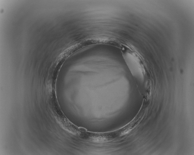 X0000080690500200612301453