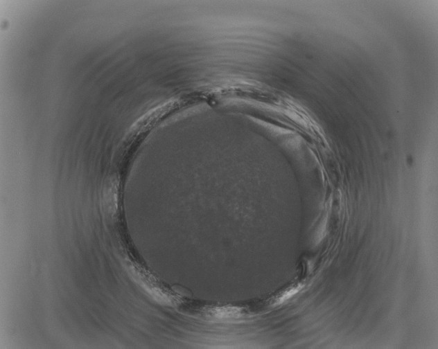 X0000080690501200612301453