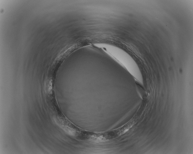 X0000080690502200612301453