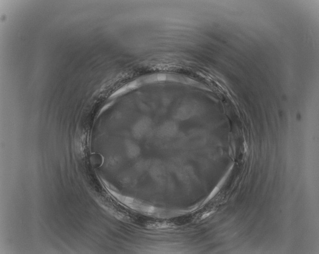 X0000080690503200612301453