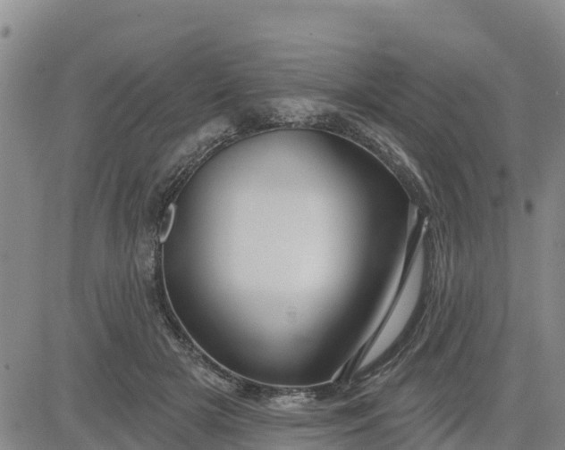 X0000080690505200612301453