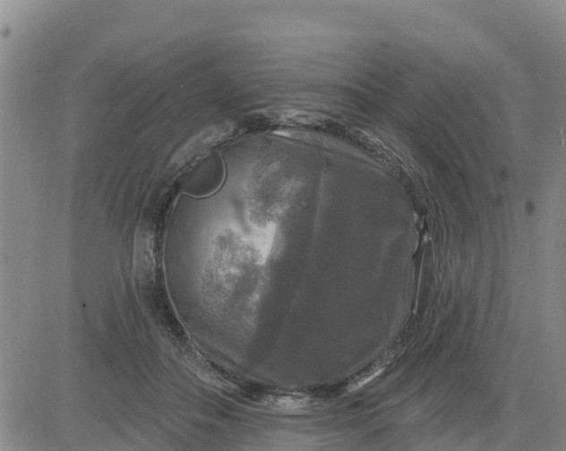 X0000080690506200612301453