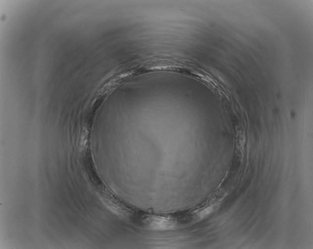 X0000080690507200612301453