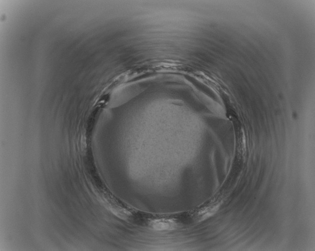 X0000080690508200612301453