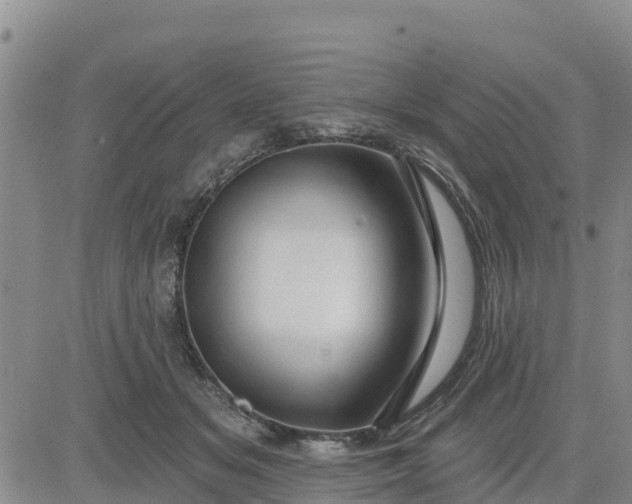 X0000080690509200612301453