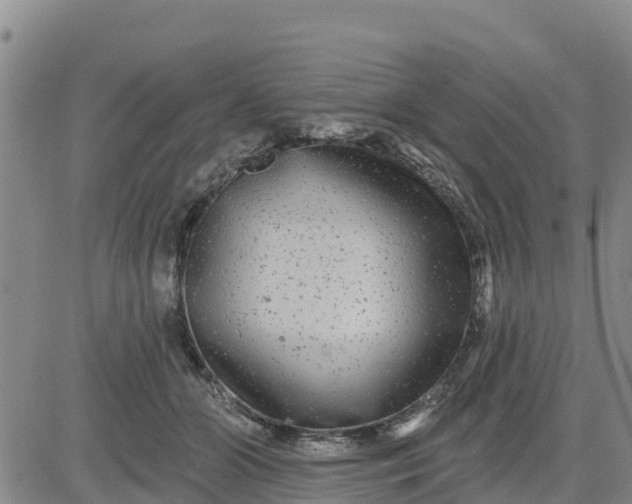 X0000080690510200612301453