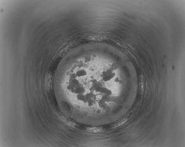 X0000080690511200612301453