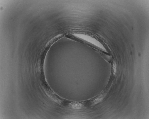 X0000080690512200612301453