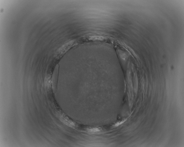 X0000080690513200612301453