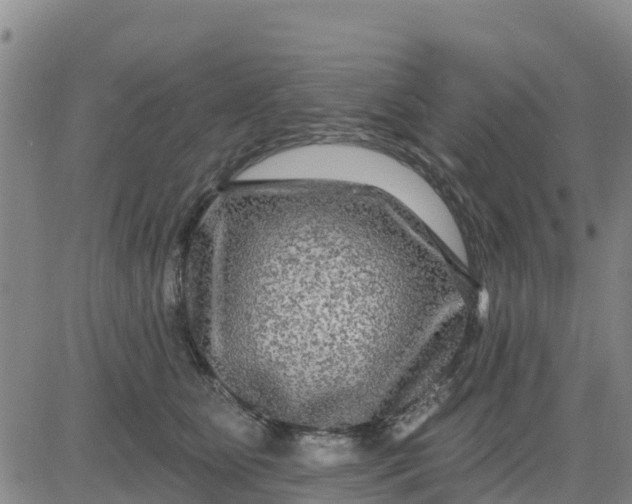 X0000080690515200612301453