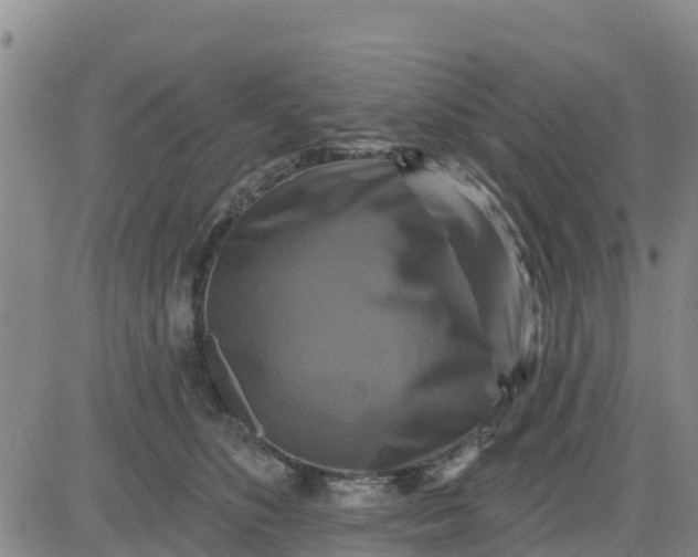 X0000080690516200612301453