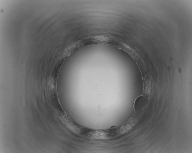 X0000080690518200612301453