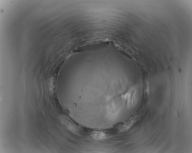 X0000080690519200612301452