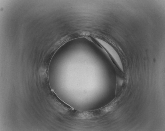 X0000080690521200612301452