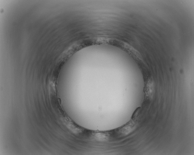 X0000080690522200612301452