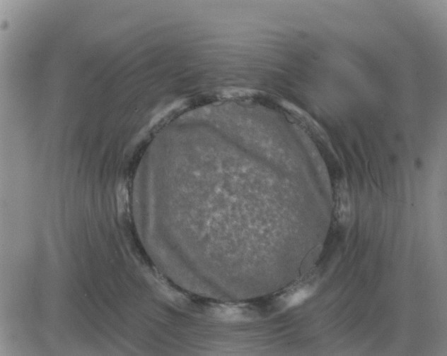 X0000080690523200612301452