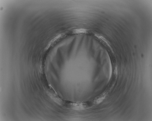 X0000080690524200612301452