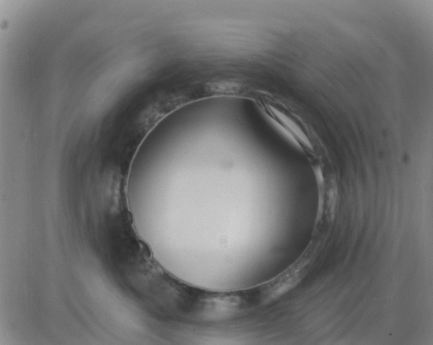 X0000080690525200612301452