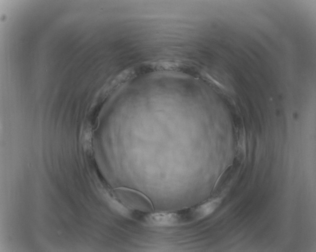 X0000080690526200612301452