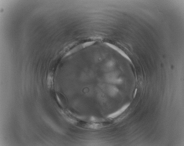 X0000080690527200612301452