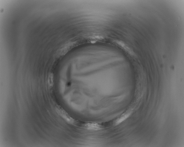 X0000080690528200612301452