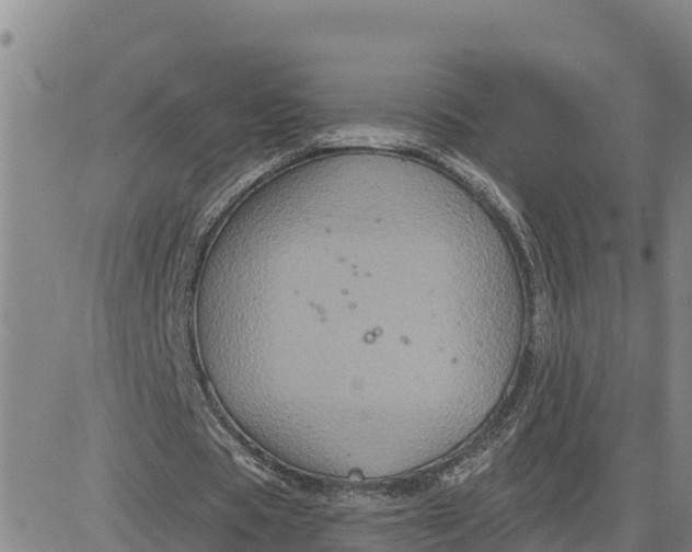 X0000080690529200612301452