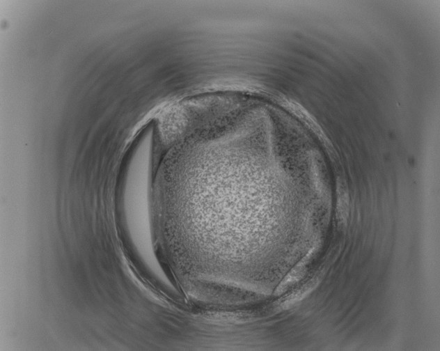 X0000080690530200612301452