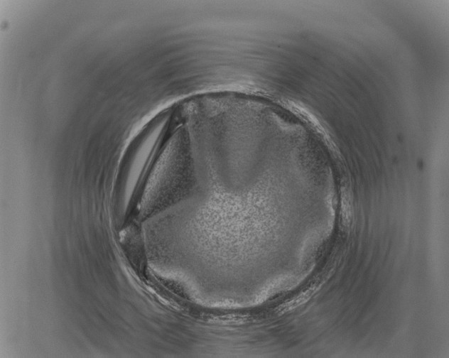 X0000080690532200612301452