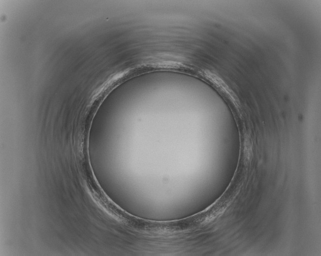 X0000080690533200612301452