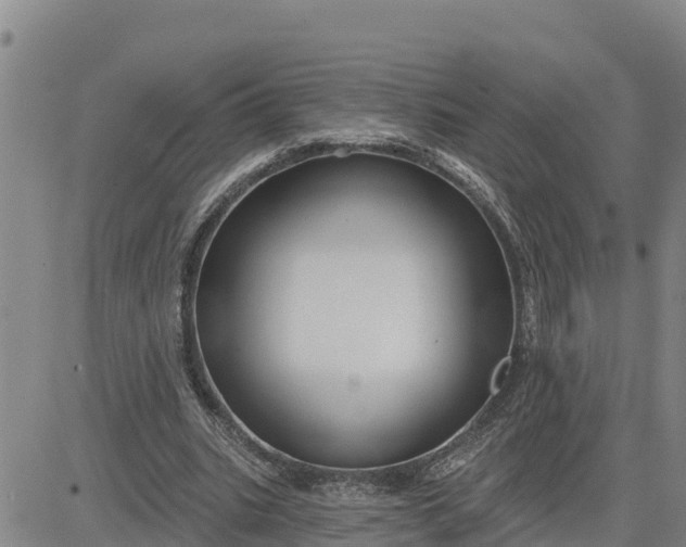 X0000080690535200612301452