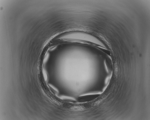 X0000080690536200612301452