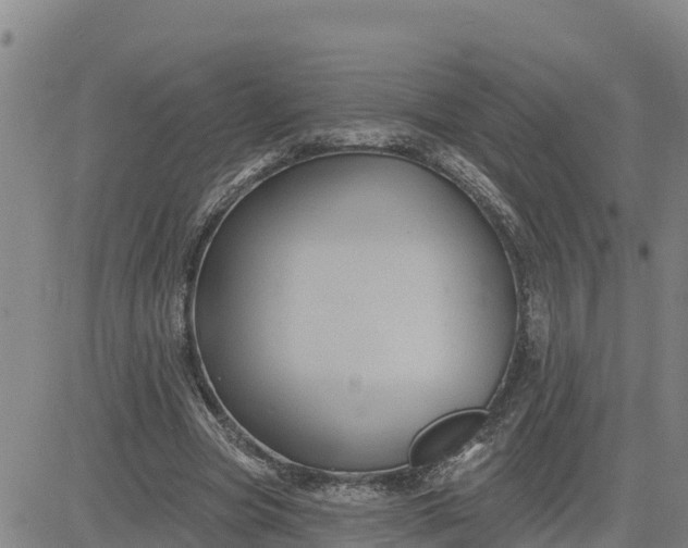 X0000080690537200612301452