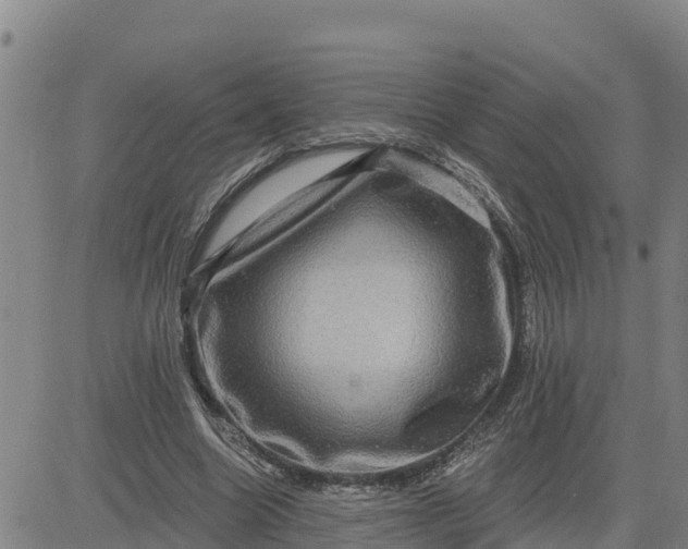 X0000080690538200612301452