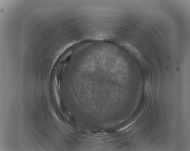 X0000080690540200612301452