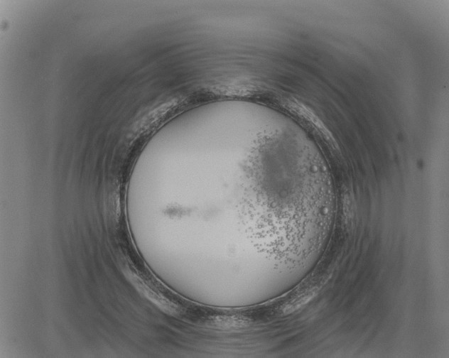 X0000080690541200612301452