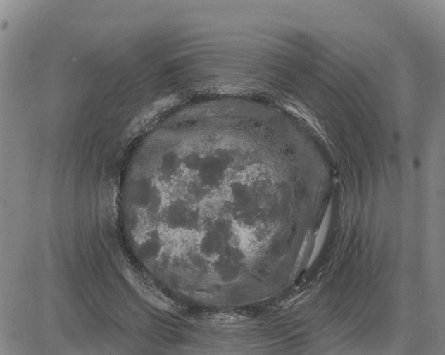 X0000080690542200612301452