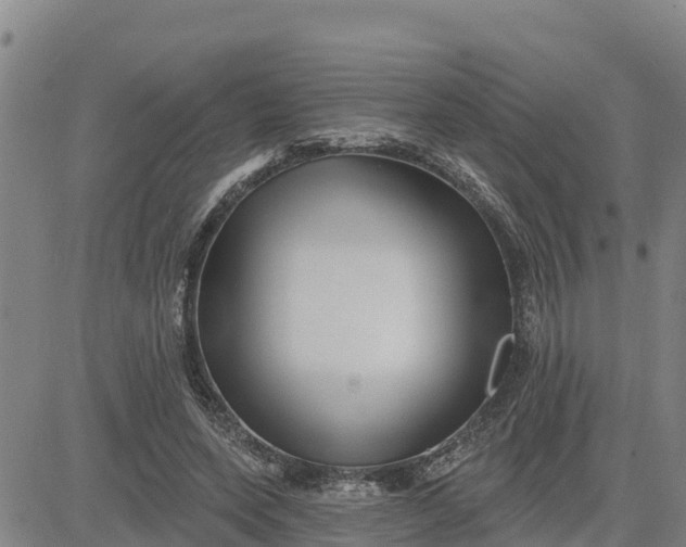 X0000080690543200612301452