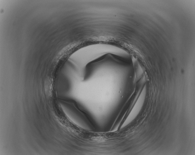 X0000080690544200612301452