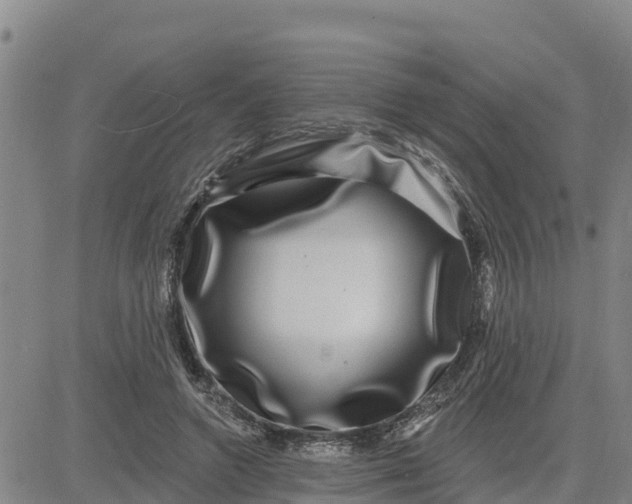 X0000080690546200612301452