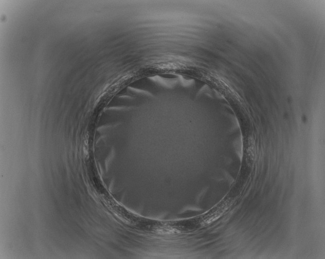 X0000080690547200612301452