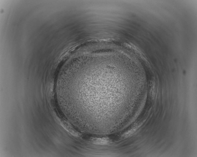 X0000080690548200612301452