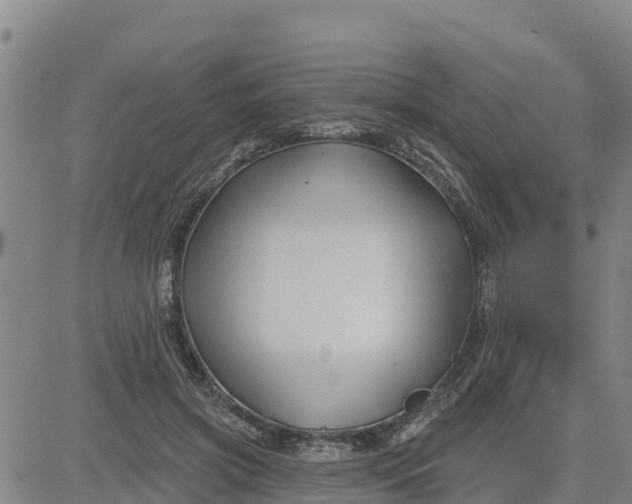 X0000080690549200612301452