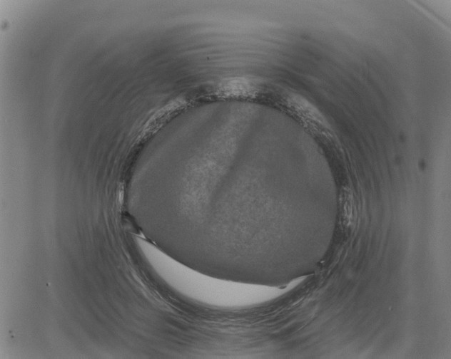 X0000080690550200612301452