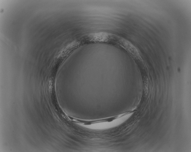 X0000080690551200612301452